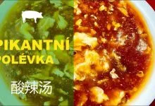 pikantní polévka